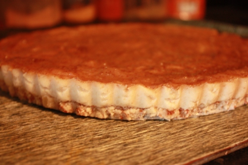SNAKESKINJACKET_Raw-vegan-caramel-cheesecake